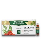 Traganek Astragalus Ekstrakt 10 fiolek x 10 ml