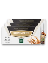 Zestaw 30 fiolek x 10 ml Kordyceps Ekstrakt Kompleks