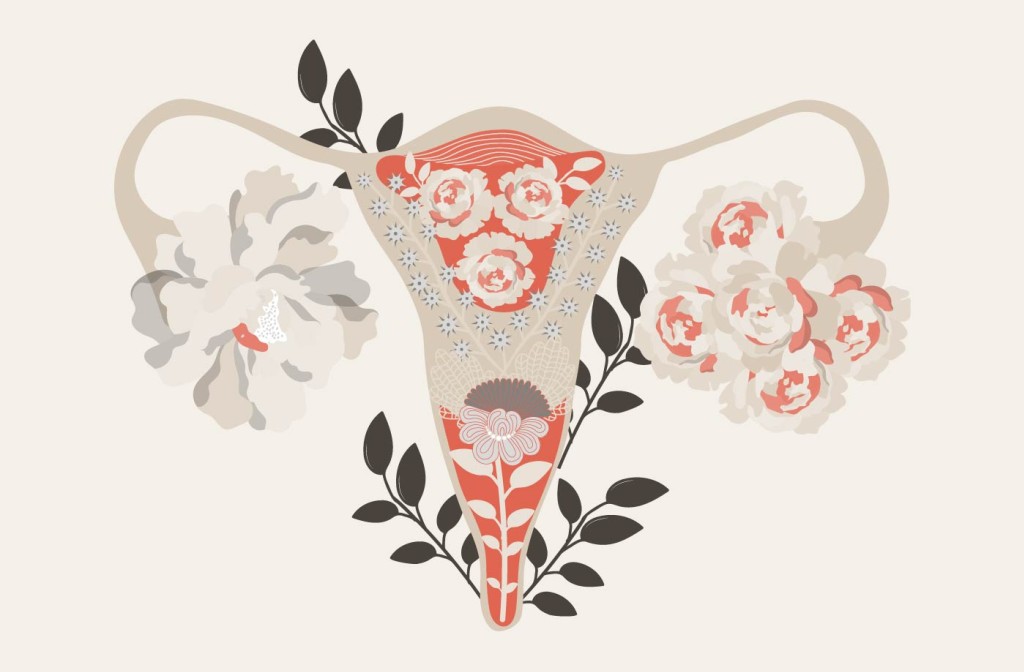 Adaptogeny a menopauza – energia, spokój i kobiece wsparcie